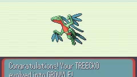 evolving treecko in pokemon emerald