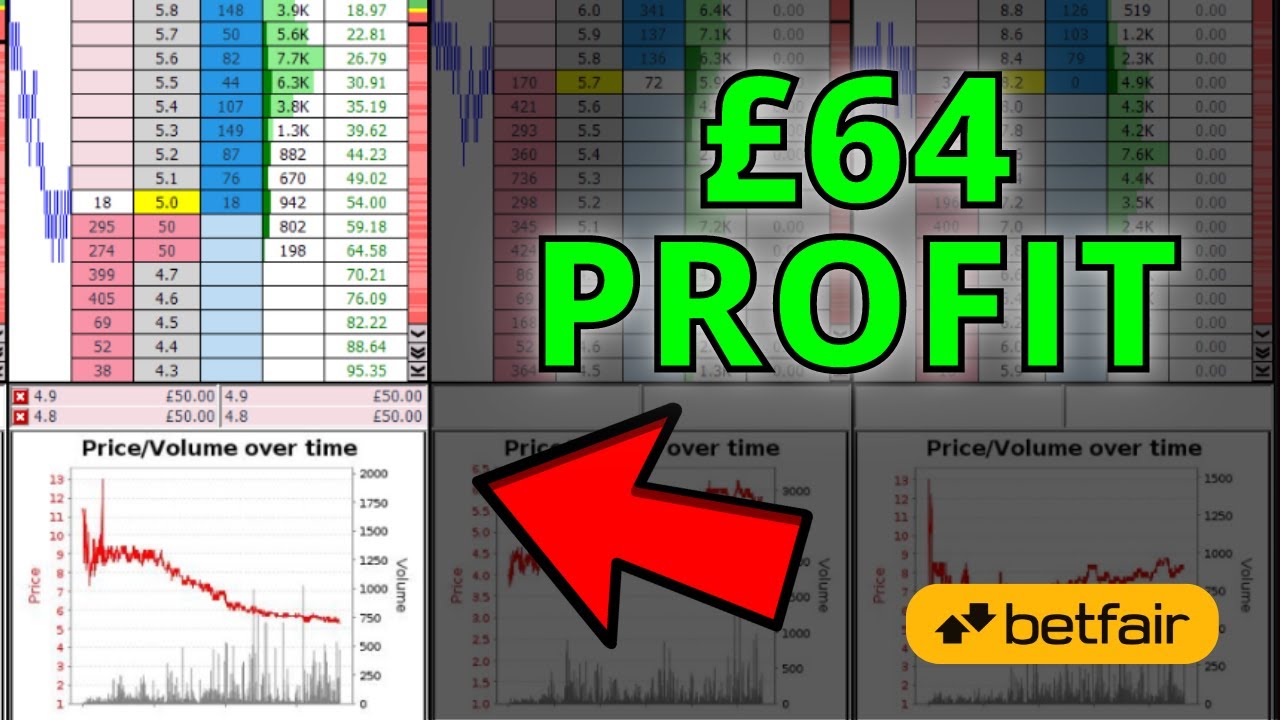 £64 Profit Swing Trading a Horse Race on Betfair Trading – Caan Berry ...