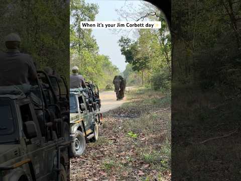 #jimcorbettwildlifeandnatureview #corbett #trending #viral #uttarakhand #dothingsyoudontwanttodo