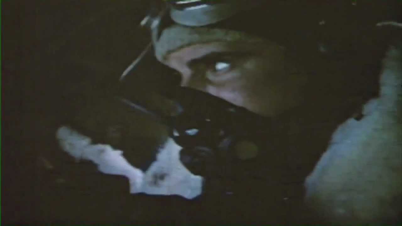 Joe Armanini 100th Bomb Group