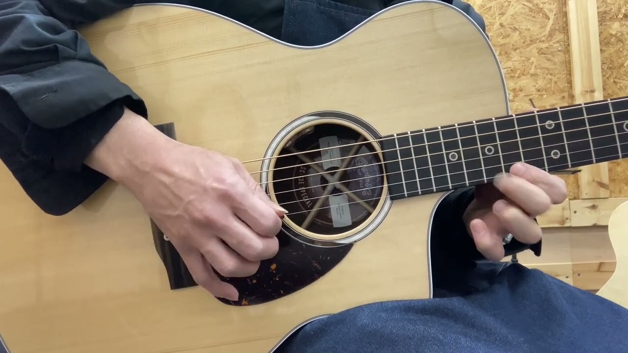 Martin SC-13E Special ＃2739074 - YouTube