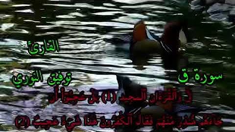 سورة ق بصوت الجميل توفيق النوري|.