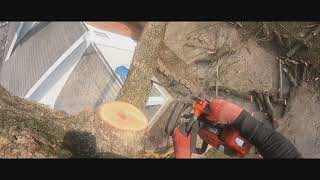 Lack Of Experience- Learning The Hard Way-Removing All The Cannons Tr