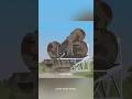 Why German Engineers Built a Giant Tank Silencer #shorts