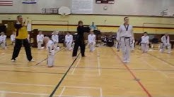 Taekwondo Demonstration, Martial Arts America