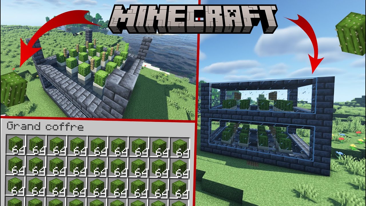[ TUTO ] Minecraft - Comment Faire Une Ferme à Cactus Rapide et
