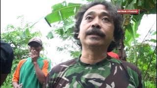 Kemunculan Buaya Dikali Cimanuk Bangodua