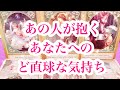【新春初🎍超深堀り🔎🕵🏻】相手の気持ち✨片思い複雑恋愛三角関係🦋ルノルマンオラクル🧚♀️詳細リーディング