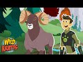 Big Horn Sheep Adventure Quiz