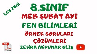 MEB Şubat Ayı Fen Bilimleri Örnek Sorular Çözümü/ LGS 2021