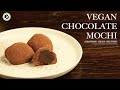 Vegan Chocolate Mochi | ALBATROSS MEALS DELIVERY