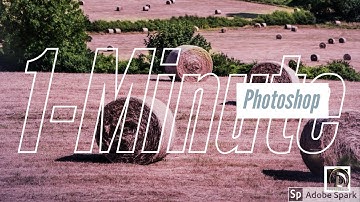 Add AMAZING Color Tints in  1-Minute Photoshop  || The D Photography ||