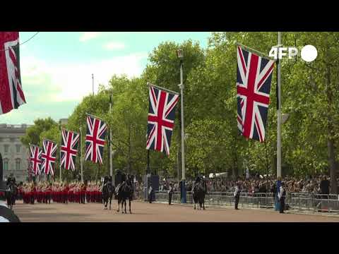 Video: Holokausti britanik i kafshëve: para luftës, britanikët eutanizuan më shumë se 750 mijë kafshë shtëpiake