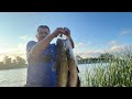 pesca con el jarocho está en vivo