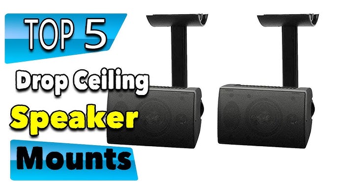 Isoacoustics V120 Ceiling Wall Mount