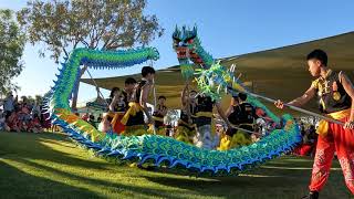 Dragon Dance - City Of Gosnells - Lunar New Year at Langford Park