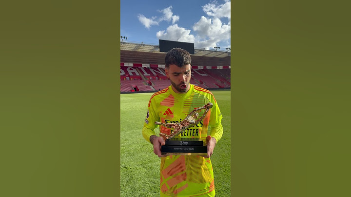 BACK-TO-BACK PREMIER LEAGUE GOLDEN GLOVE AWARDS FOR DAVID RAYA 🔥 #arsenal #afc #epl