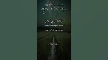 #اللهم_صل_وسلم_على_نبينا_محمد #قران_كريم #quran #عبدالرحمن_السديس #سورة_الملك #surah_al_mulk