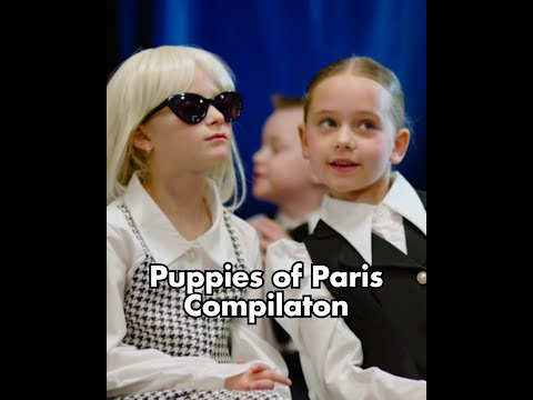 Puppies of Paris Compilation | Ready Set Dance