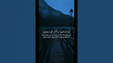 ما تيسر من سورة القمر...القارئ أبو النور