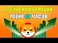 ГЕН. ДИРЕКТОР SHIBA | СЕКРЕТНАЯ ПРИЧИНА ПАМПА SHIBA ЗА 48 ЧАСОВ!!! - ОБЪЯСНИЛ