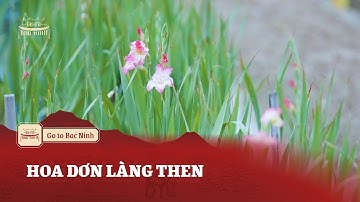 Mãn Nhãn Cánh Đồng Hoa Dơn Làng Then: Từ Đồng Lúa Cằn Cỗi Hóa "Mỏ Vàng" Triệu Đô