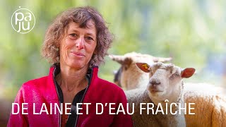 Dans son petit paradis, Martine élève des moutons et revalorise la laine locale