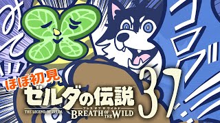 【はじめてのゼルダの伝説】＃37　そろそろ半分！町のコログは震えて眠れ…【BotW】