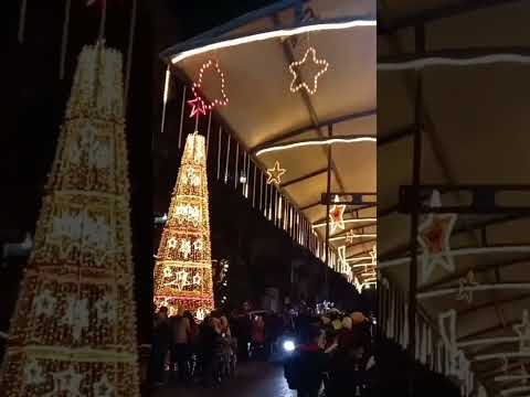 كل عيد وبلدي بخير 2023    عائلتي حياتي     