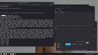 Linux Mint + Docker: Qwen-TTS Text-to-Speech Test