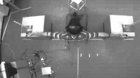 Testing for Whisker Sense