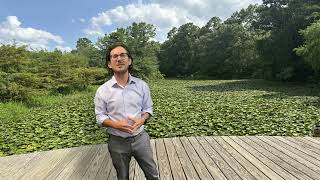 Primary Care Insurance Solutions Llc Introduction