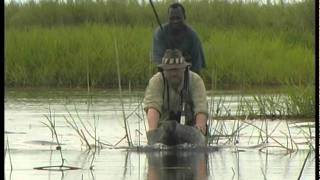Hunting in Tanzania - Hunters Video