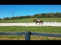 Hiwassee College Spring 2017 Dressage Test