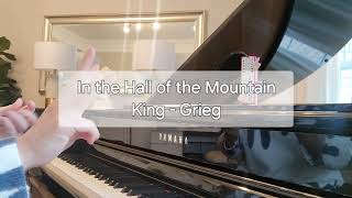 In the Hall of the Mountain King | Grieg | Violin Star