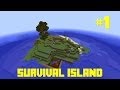 1  survival island  minecraft