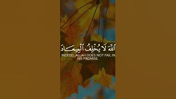 كن مع الله واستمع للقران الكريم بصوت القارئ عبدالله السقاف