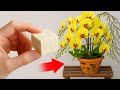 The Secret to Getting Orchids to Bloom Again and Again
