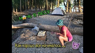 НОЧЬ В ЛЕСУ / Почему мы оттуда уехали?