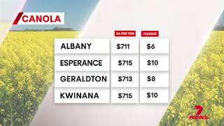 Gwn7 Market Update Friday 21 November 2025