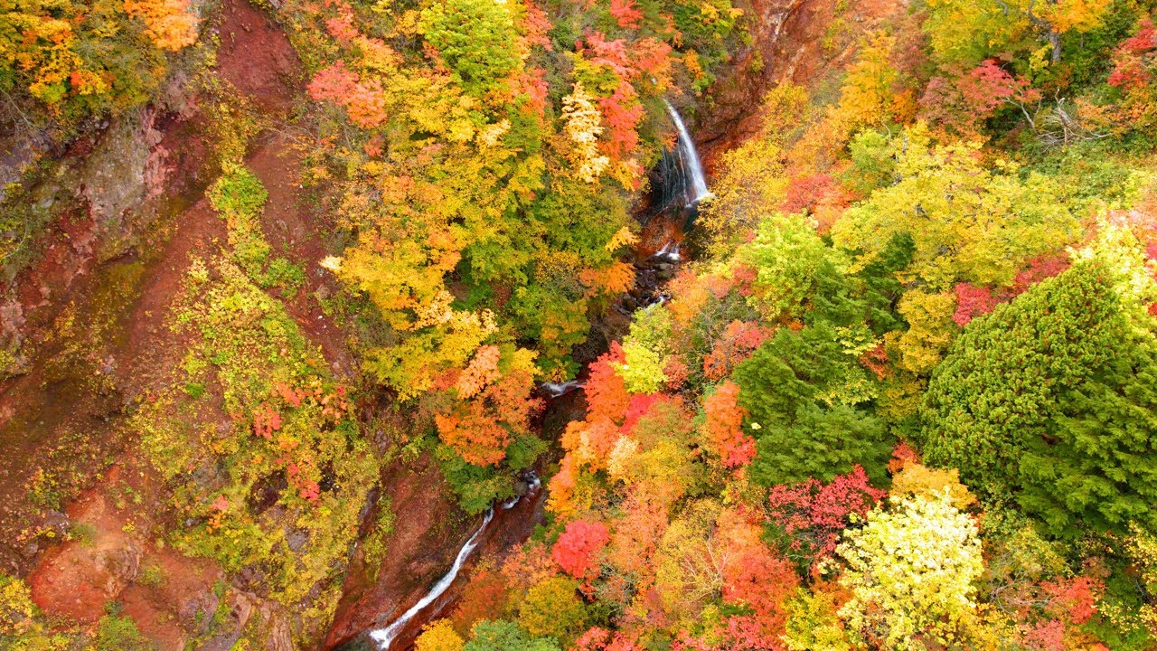 磐梯吾妻スカイラインの絶景紅葉 不動沢・つばくろ谷 【最高画質