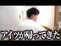 【カムバック】病棟が限界を迎えそうになった時に帰ってきた新人看護師