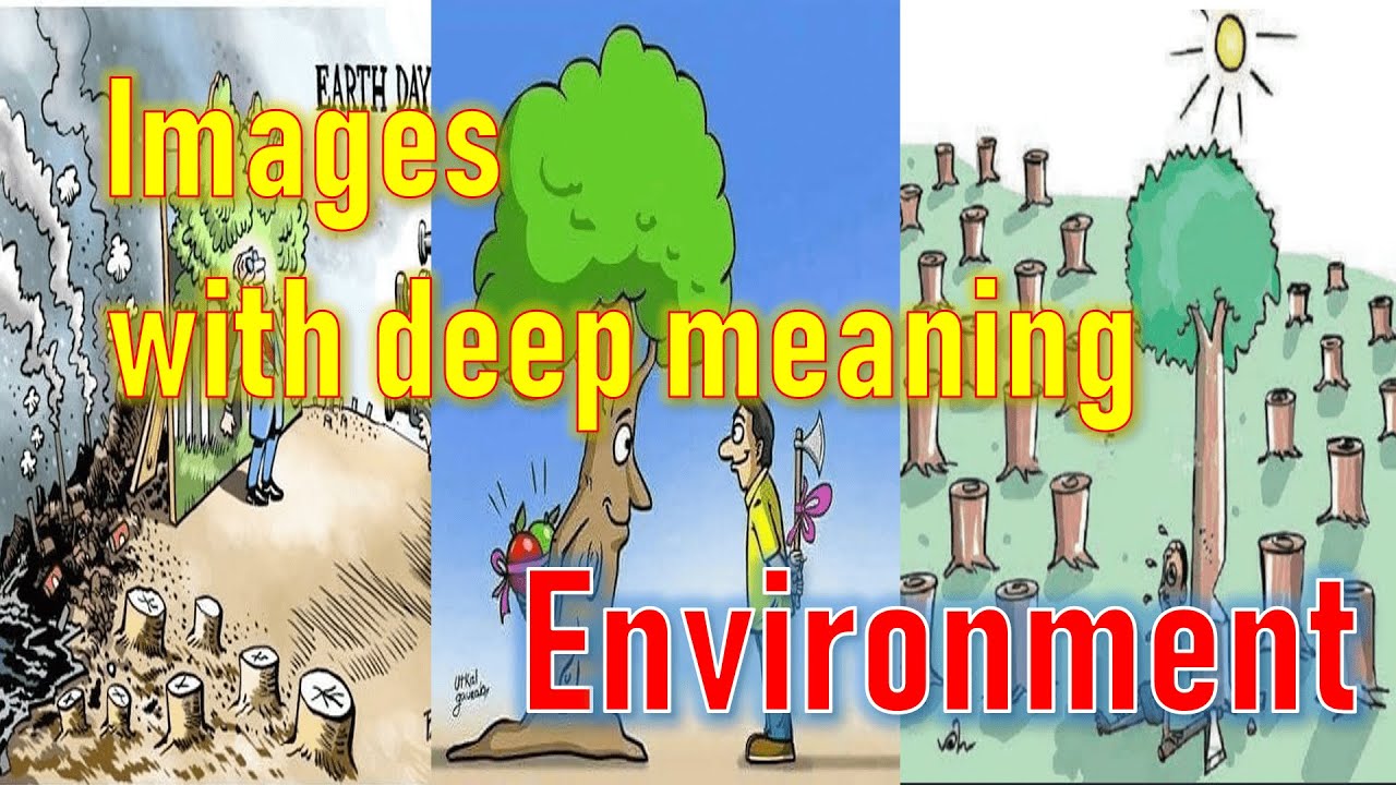 Our Environment Images With Deep Meaning YouTube