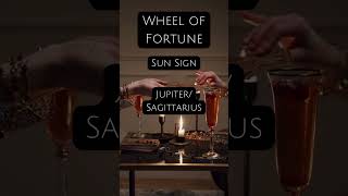 Wheel of Fortune - Major Arcana Number 10 - How To Learn Tarot #tarot #witchy #fortunetelling