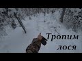 Охота на лося. Троплю лося подошел очень близко. 3 часть