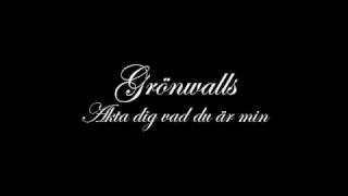 Grönwalls - Akta dig vad du är min chords