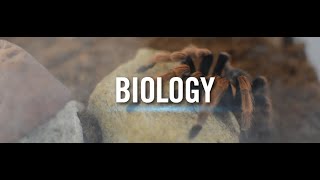 Program Spotlight: Biology