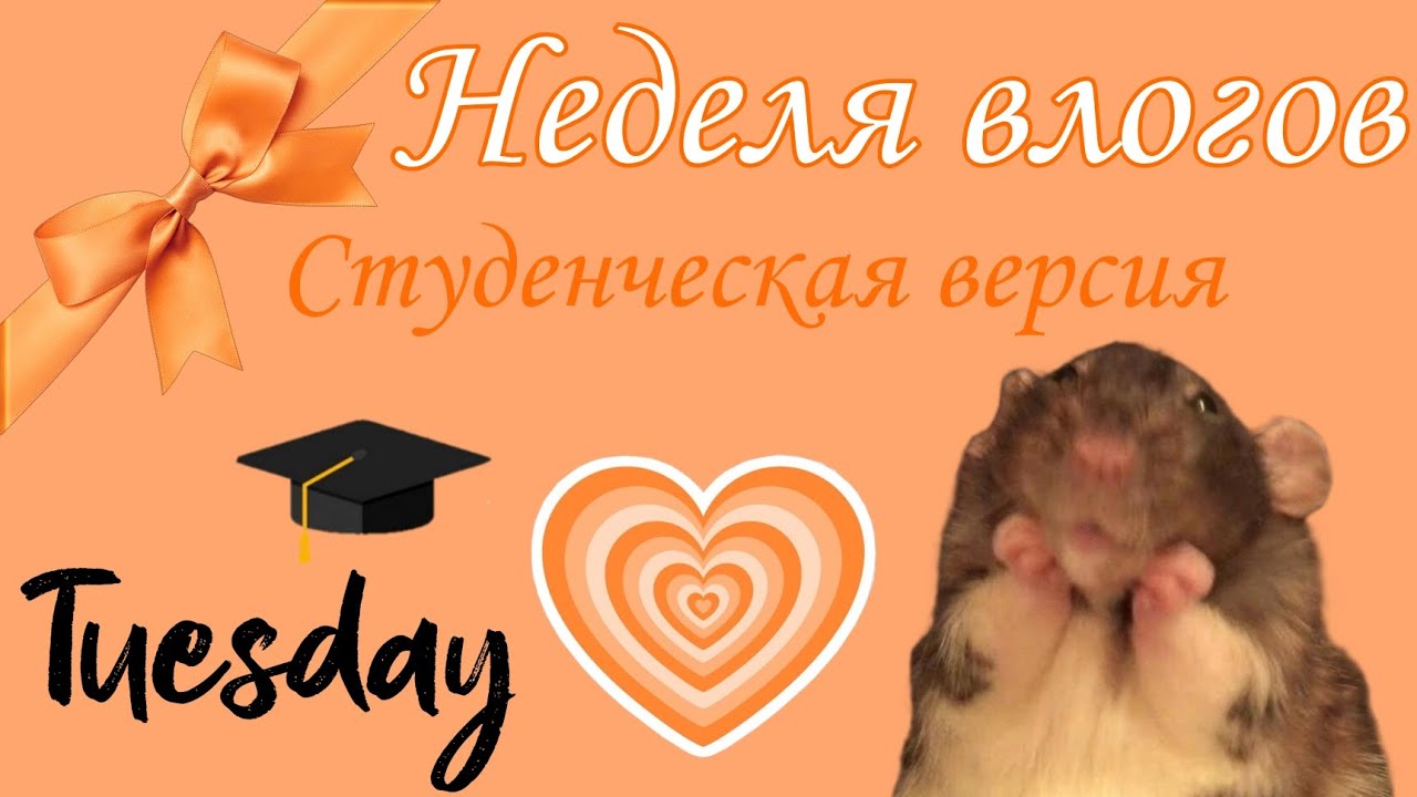 НЕДЕЛЯ ВЛОГОВ. 📖 вторник🧡