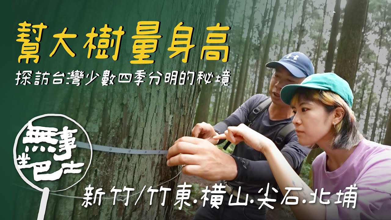 【無事坐巴士 完整版】幫大樹量身高，原來要這樣做！跟著台南妹仔探訪台灣少數四季分明的秘境｜台南妹仔｜新竹 竹東 橫山 尖石 北埔｜公路旅行 旅遊紀實｜公視台語台｜EP209