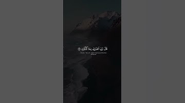 القـارئ : سعيــد دبـاح | ما تيسر من سورة  المؤمنون